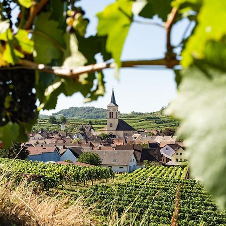 Braviscasa - Ferienresidenz Haus Am Bach Vogtsburg Am Kaiserstuhl المظهر الخارجي الصورة